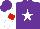Silk - Purple, white star, white and red hoop on sleeves