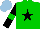Silk - Green, black star, black sleeves with green armlets, light blue cap