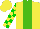 Silk - Yellow, kelly green stripe, green blocks on yellow sleeves