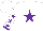 Silk - white, purple star, purple stars and cuffs on white sleeves