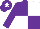 Silk - Purple and white (quartered), purple sleeves, purple cap, white star