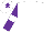 Silk - White, purple sleeves, white armlets, white cap, purple star