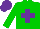 Silk - Green, purple cross, green arms, purple cap