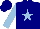 Silk - Navy, light blue star, light blue sleeves, navy cap