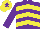 Silk - Purple & yellow chevrons, purple sleeves, yellow cap, purple star