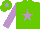 Silk - light green, mauve star and sleeves, light green cap with mauve star