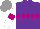 Silk - Purple, violet diamond hoop, white sleeves with violet armlets, grey cap