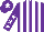 Silk - Purple and white stripes, purple sleeves, white stars, purple cap, white star