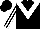 Silk - Black, White V, White Stripes On Sleeves, Black Cap