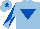 Silk - Light blue, royal blue inverted triangle, diabolo on sleeves, royal blue star on cap
