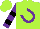 Silk - Lime, purple horseshoe, black bars on purple sleeves