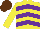 Silk - YELLOW, PURPLE chevrons, YELLOW sleeves, BROWN cap