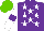 Silk - Purple, white stars, white sleeves on purple armband, light green cap