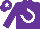 Silk - Purple, white horseshoe, purple cap, white star