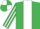 Silk - EMERALD GREEN, white panel, striped sleeves, quartered cap