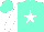 Silk - Aqua, white star, white sleeves, aqua cap