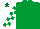 Silk - EMERALD GREEN, emerald green & white check sleeves, white cap with dark green star