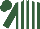 Silk - Hunter green and white stripes, hunter green sleeves