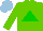 Silk - Light green, green triangle, light blue cap