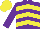 Silk - purple, yellow chevrons, purple sleeves, purple star on yellow cap