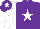Silk - Purple with white star,white sleeves,purple cap with white star