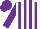Silk - white and purple stripes, purple sleeves and cap