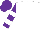 Silk - White, white bars on purple sleeves, purple cap