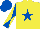 Silk - Yellow, royal blue star, royal blue and yellow diabolo on sleeves, royal blue cap