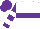 Silk - White, purple hoop, white bars on purple sleeves, purple cap