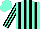 Silk - Aqua, black stripes, black stripes on sleeves, aqua cap