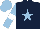 Silk - Dark blue, light blue star, light blue sleeves, white armlets and star on light blue cap
