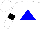 Silk - White, blue triangle, black armlets