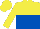 Silk - Yellow and royal blue halved horizontally