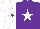 Silk - purple, white star, white sleeves, purple star on white cap