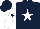 Silk - dark blue, white star and sleeves, dark blue star on sleeves
