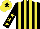 Silk - Black and yellow stripes, black sleeves, yellow stars, yellow cap, black star
