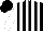 Silk - Black, white stripes, white sleeves, black cap