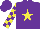 Silk - Purple, yellow star, checked sleeves