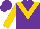 Silk - Purple, gold 'v', gold sleeves, purple cap