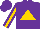 Silk - Purple, gold triangle, gold stripe on sleeves, purple cap