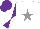 Silk - White, grey star, white diablo on purple sleeves, purple cap