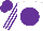 Silk - white, purple disc, striped sleeves, purple cap