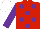 Silk - RED, purple spots, purple sleeves, white cap