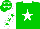 Silk - Green, white star, collar and sleeves ,green stars, green cap, white stars