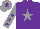 Silk - Purple, grey star, grey sleeves, purple stars, grey cap, purple star