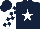 Silk - Dark blue, white star, checked sleeves