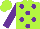Silk - Lime green, purple dots, purple sleeves