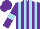 Silk - Purple, sky blue stripes, sky blue hoop on sleeves, purple cap