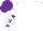 Silk - White, purple stars on sleeves, purple cap