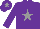 Silk - Purple, grey star and star on cap